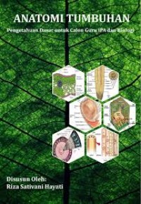 Anatomi Tumbuhan : Pengetahuan Dasar untuk Calon Guru IPA dan Biologi